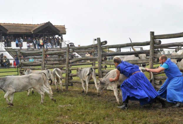Országos Gulyásverseny és Pásztortalálkozó lesz Hortobágyon