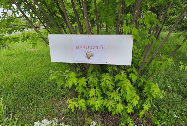 Méhlegelőket alakítottak ki Hajdúnánáson