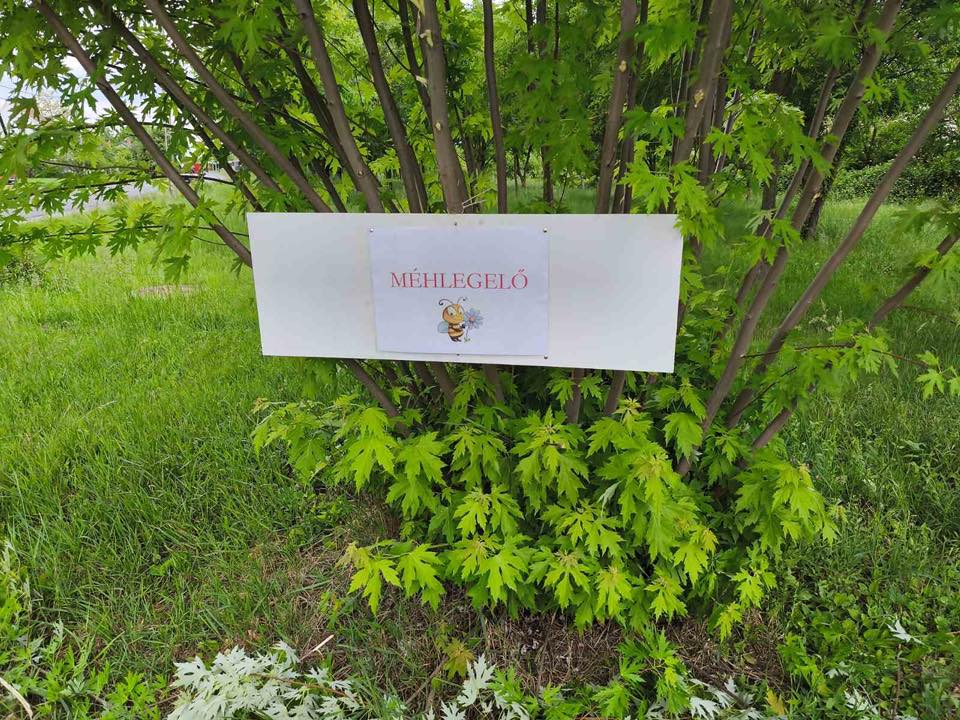 Méhlegelőket alakítottak ki Hajdúnánáson