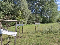 Vekeri-tó kiszáradt