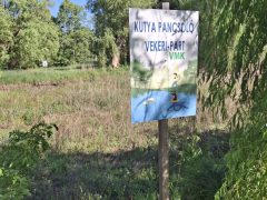 Vekeri-tó kiszáradt