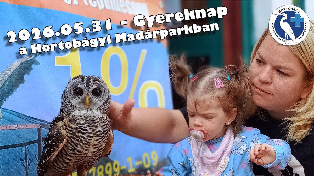 Gyereknapi programkavalkád a Hortobágyi Madárparkban