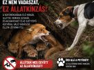 Petíciót indítottak a "kotorékozás" néven futó állatkínzás ellen