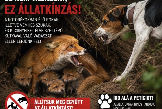 Petíciót indítottak a "kotorékozás" néven futó állatkínzás ellen