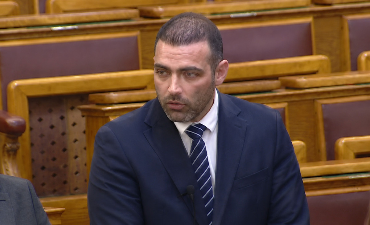 Tárkányi Zsolt