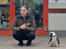 Így hódítja meg gondozója szívét a debreceni állatkert pingvinje