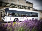 Hajdúszoboszlói elektromos busz