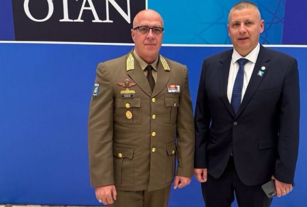 Ruszin-Szendi Romulusz az ankarai NATO-csúcstalálkozón