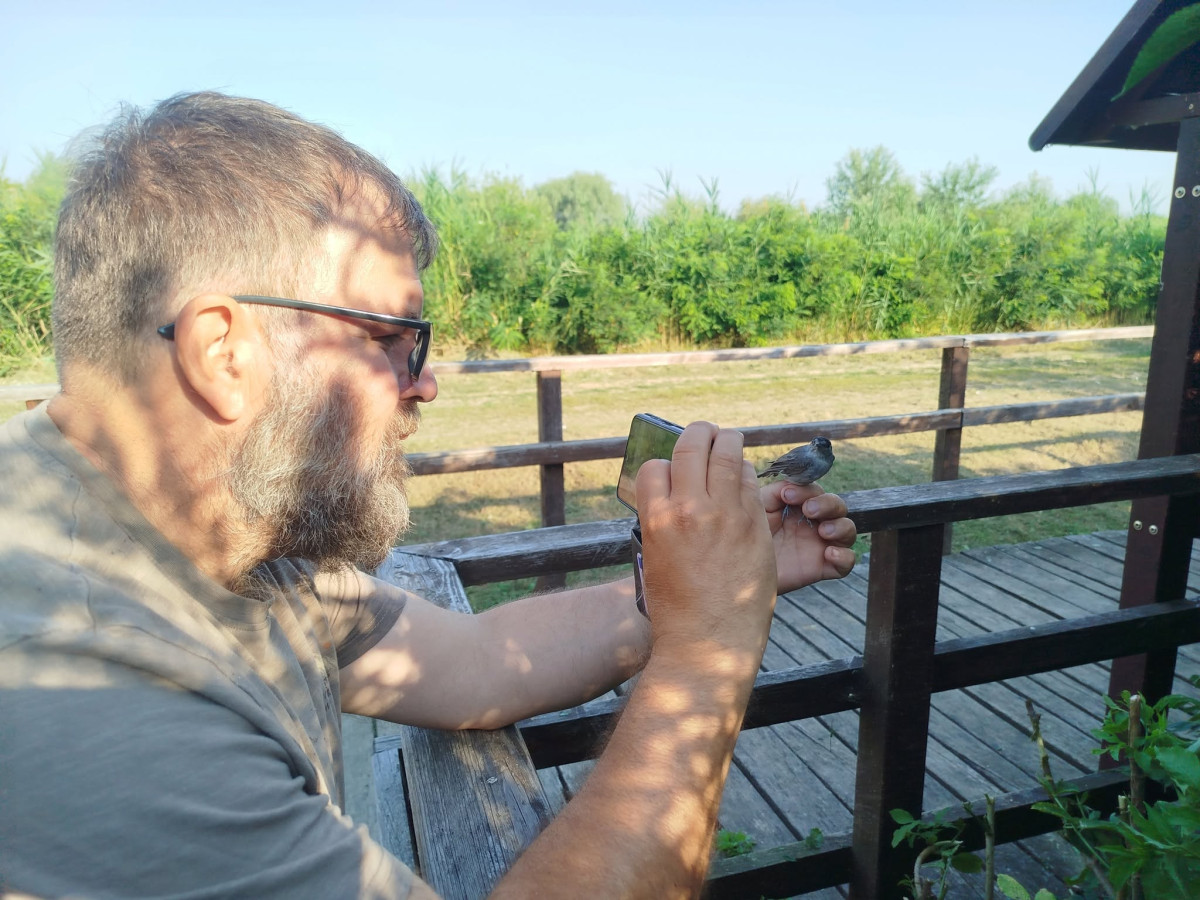 Sikeres volt a hortobágyi madárgyűrűzési akció