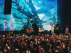Moby-koncert a Budapest Parkban
