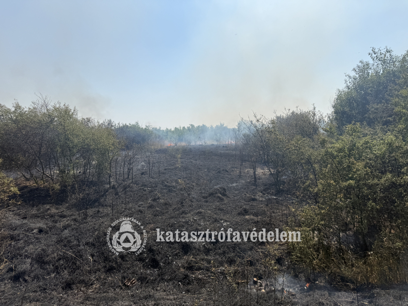 Folyamatosan tűzesethez riasztották a hajdú-bihari tűzoltókat