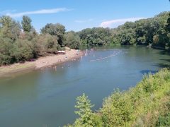 A Tisza Kisarnál
