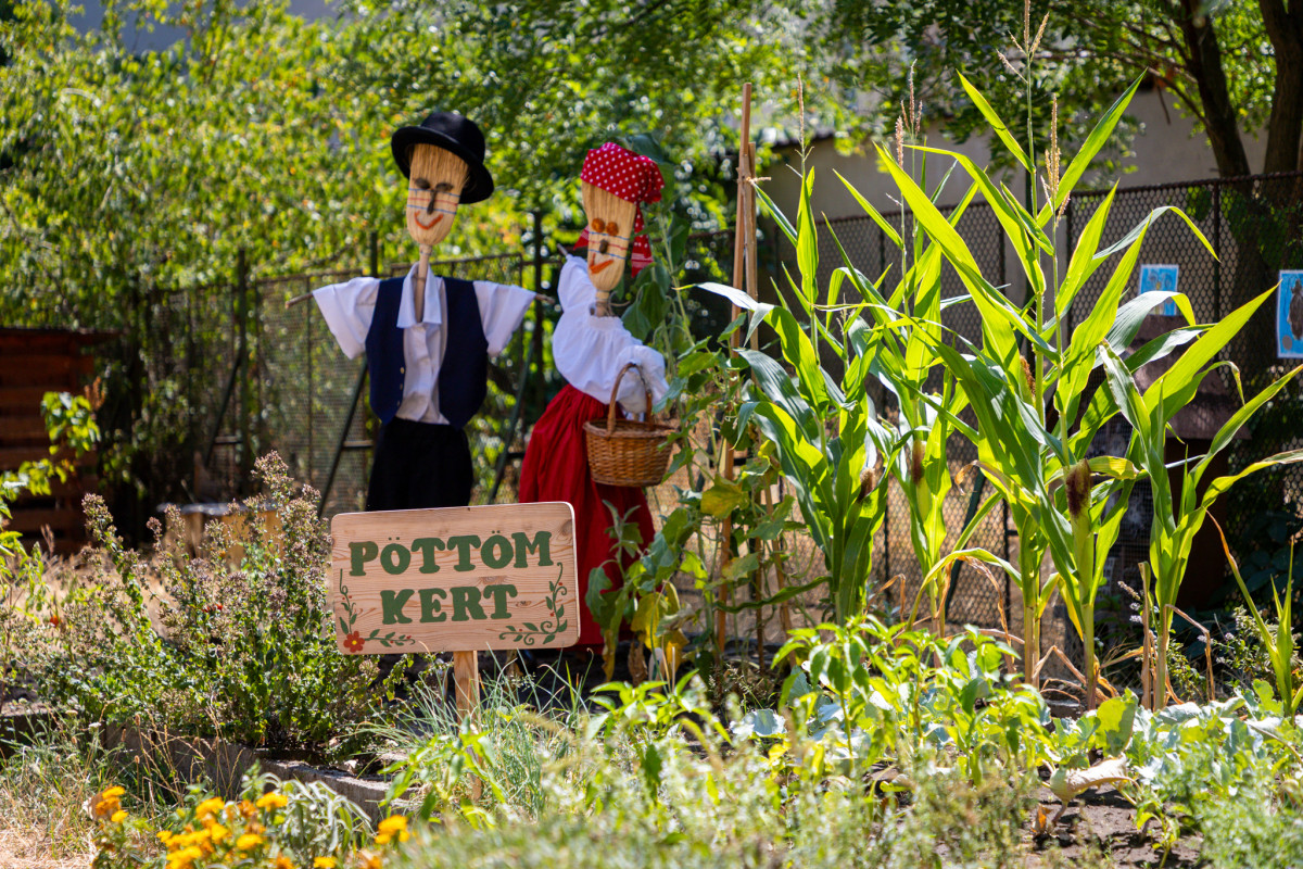 Debrecen legszebb konyhakertjei