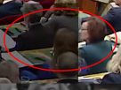 Párttársa helyett szavazott Schummer Orsolya