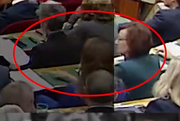 Párttársa helyett szavazott Schummer Orsolya
