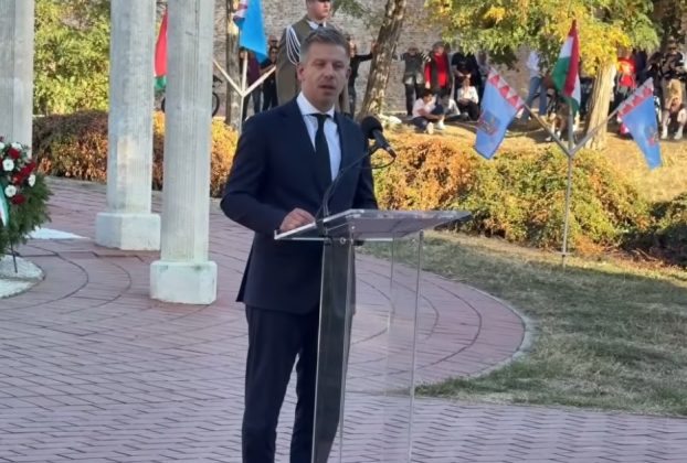 Magyar Péter beszéde Gyulán