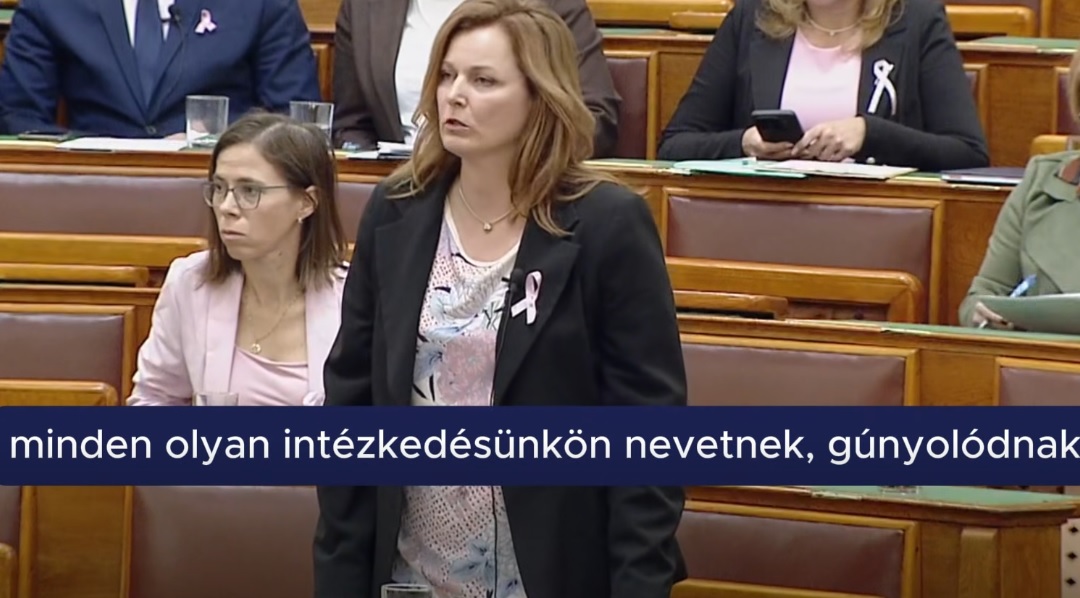 Kovács Petra Judit parasztozás