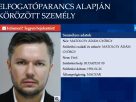 Elfogatóparancsot adtak ki Matolcsy Ádám ellen