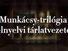 Jelnyelvi tárlatvezetést tart a Déri Múzeumban